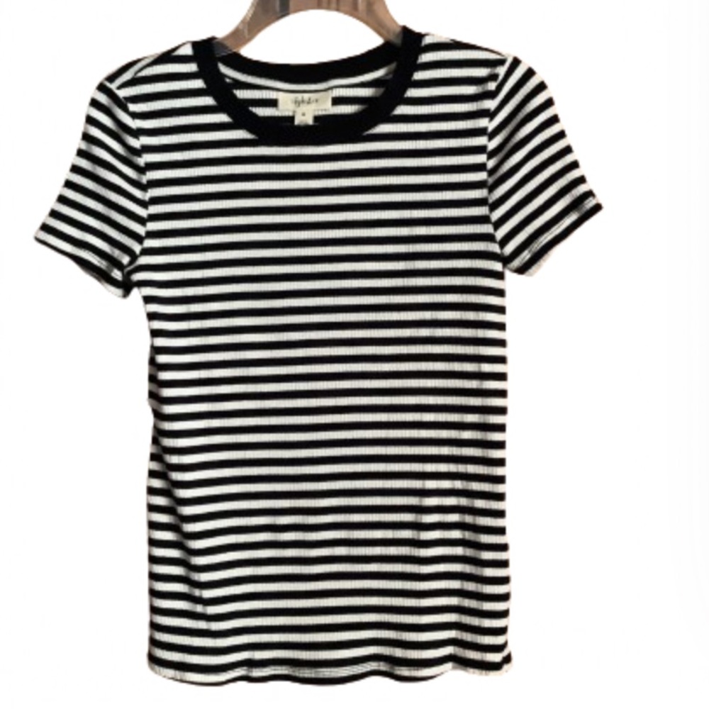 6 for 36 Style & Co. t-shirt Medium striped